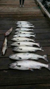 Hot Pursuit charters fishing results 2