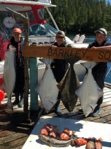 ucluelet halibut fishing with Hot Pursuit charters