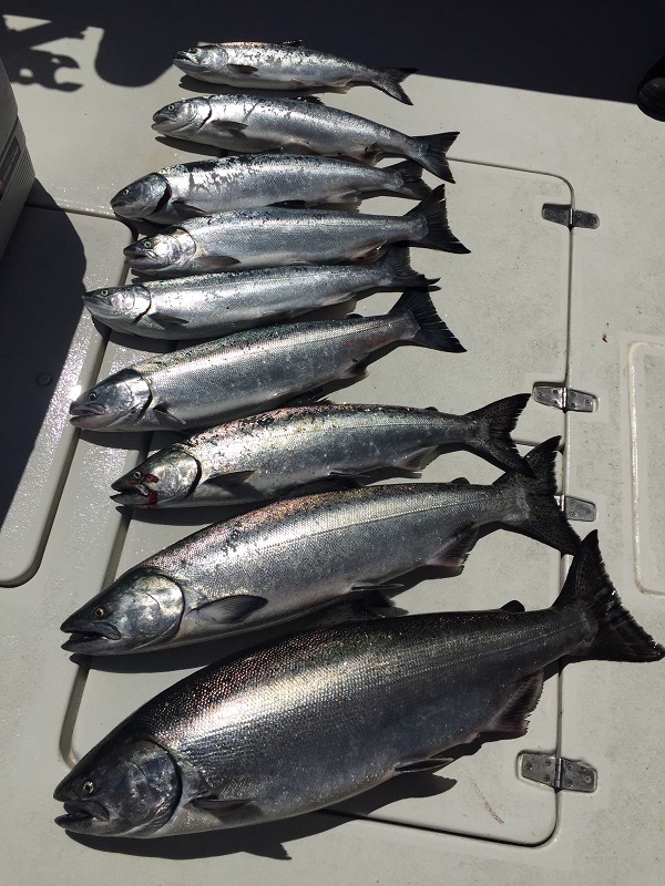 McCallum group charter day 2-1